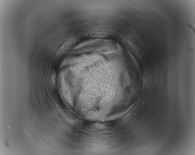 X0000101650166200807241403