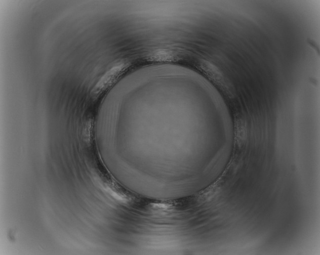 X0000101650167200807241403