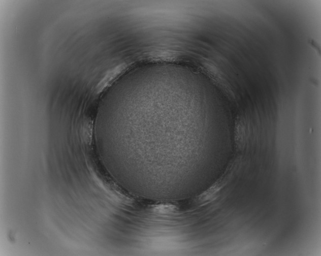 X0000101650168200807241403