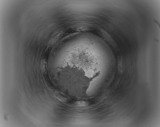 X0000101650169200807241403