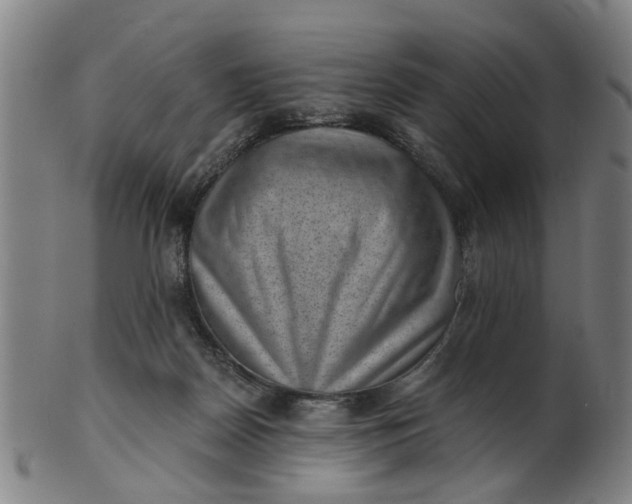 X0000101650170200807241403