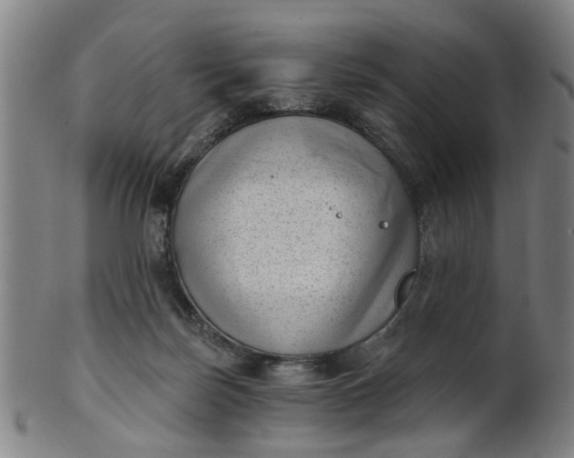 X0000101650171200807241403