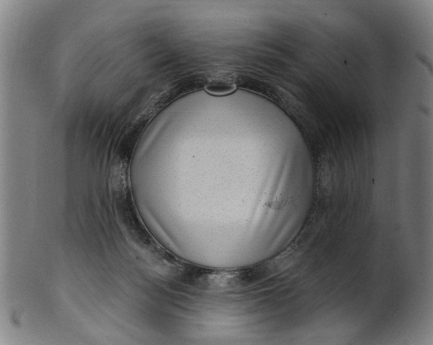 X0000101650172200807241403