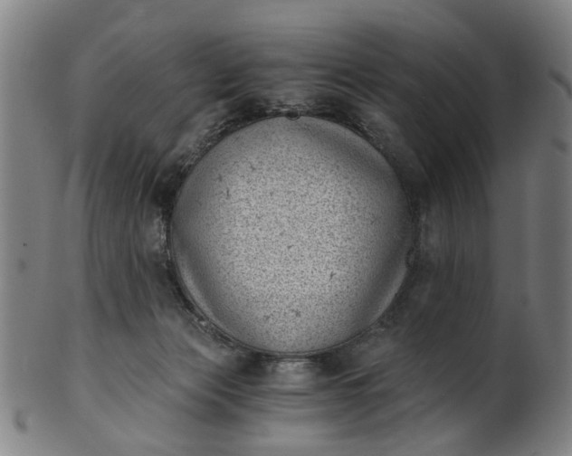 X0000101650173200807241403