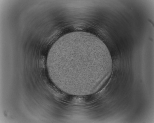 X0000101650174200807241403