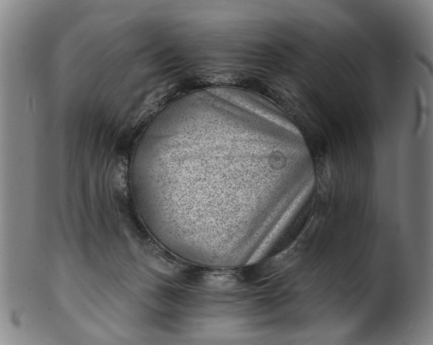 X0000101650175200807241403