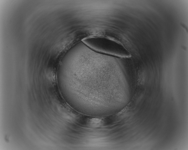 X0000101650176200807241403