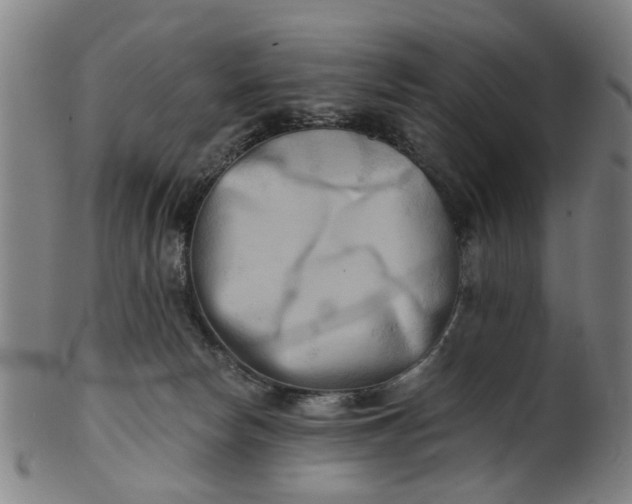 X0000101650178200807241403