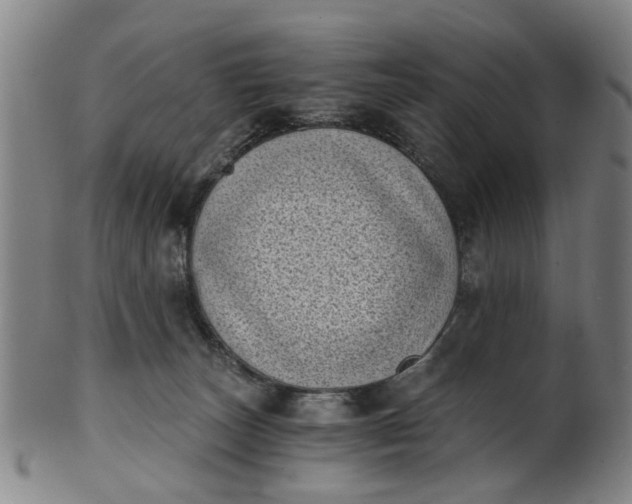 X0000101650179200807241403