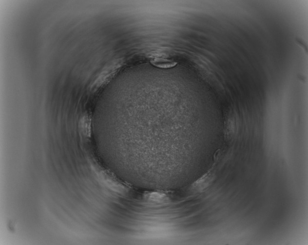 X0000101650180200807241403