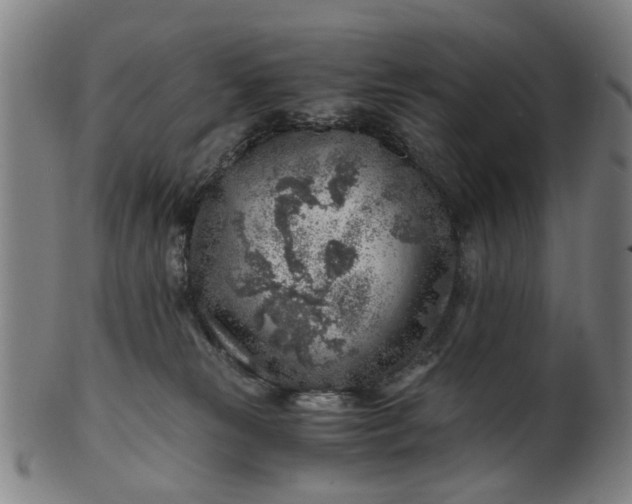 X0000101650181200807241403