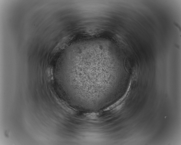X0000101650182200807241403