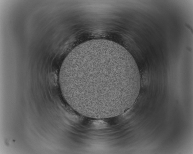 X0000101650183200807241403