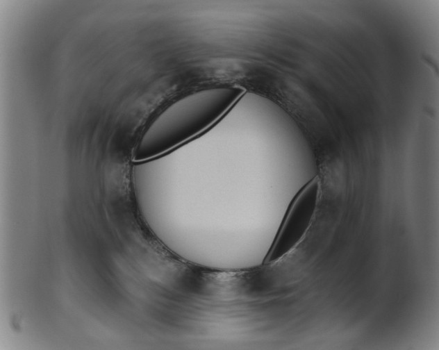 X0000101650184200807241403