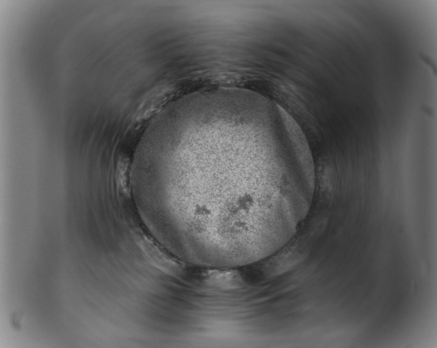 X0000101650185200807241403