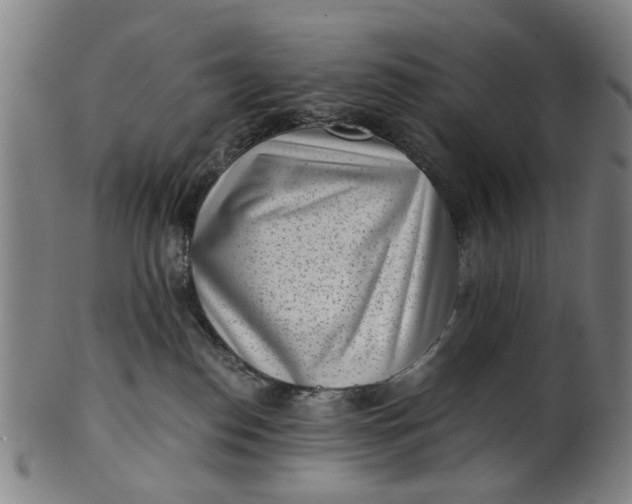 X0000101650186200807241403