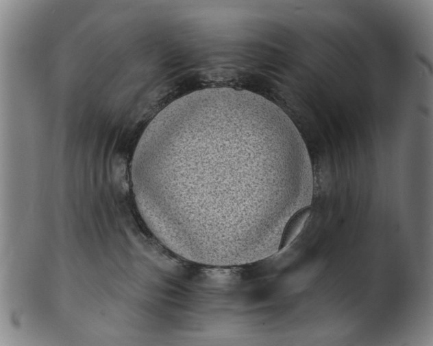 X0000101650187200807241403
