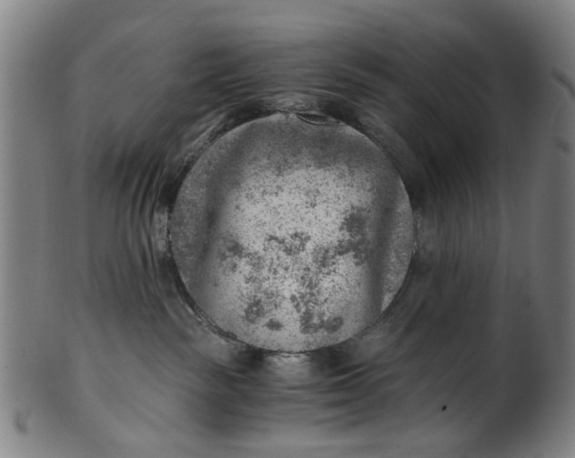 X0000101650189200807241403