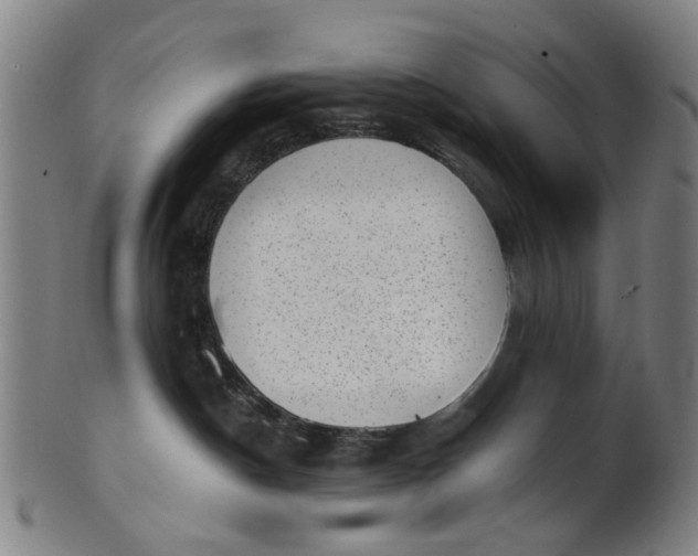 X0000101650190200807241403