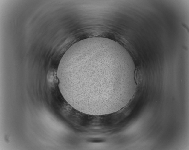X0000101650191200807241403