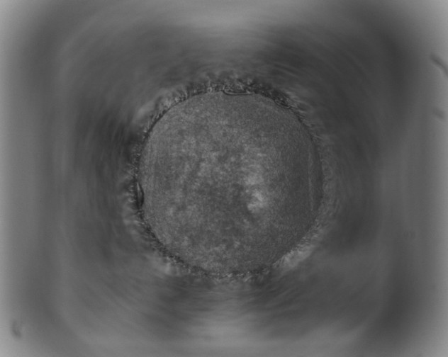 X0000101650192200807241403