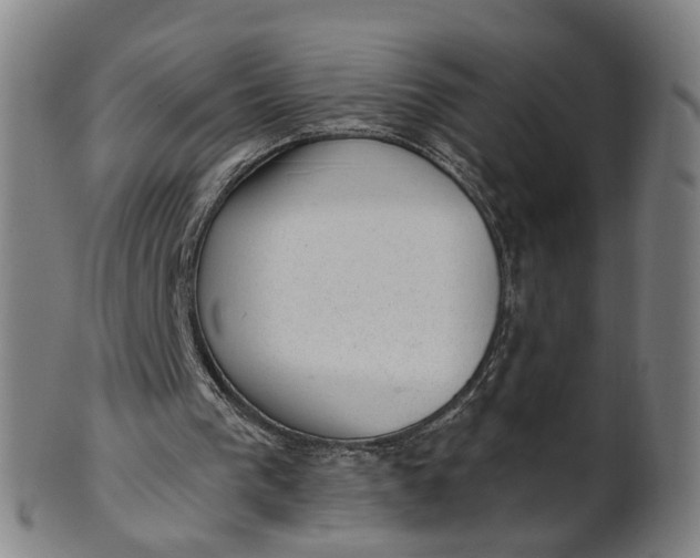 X0000101650193200807241403