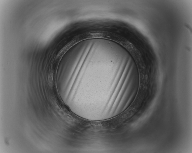 X0000101650194200807241403