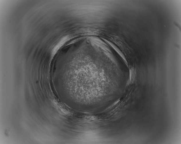 X0000101650195200807241403