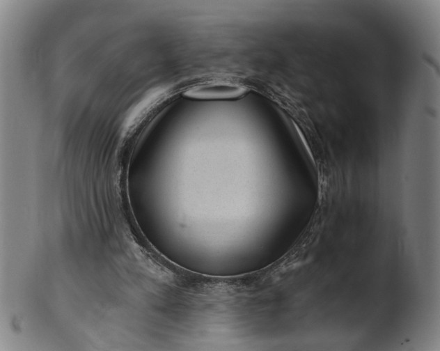 X0000101650197200807241403