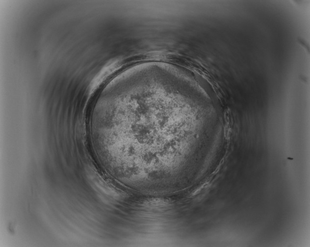 X0000101650198200807241403