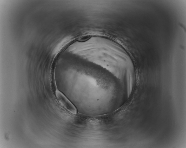 X0000101650199200807241403