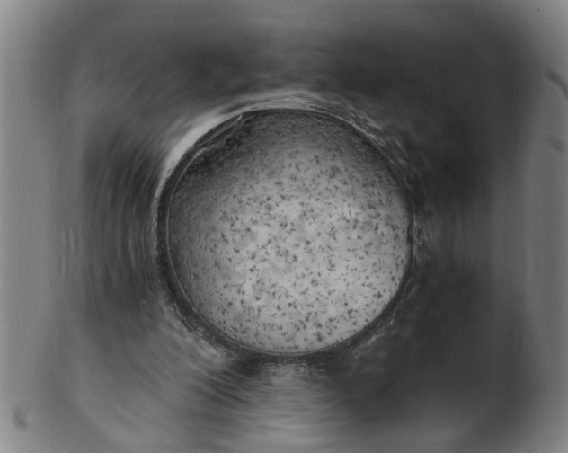 X0000101650200200807241403