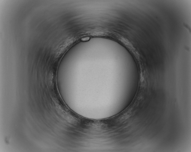 X0000101650201200807241403