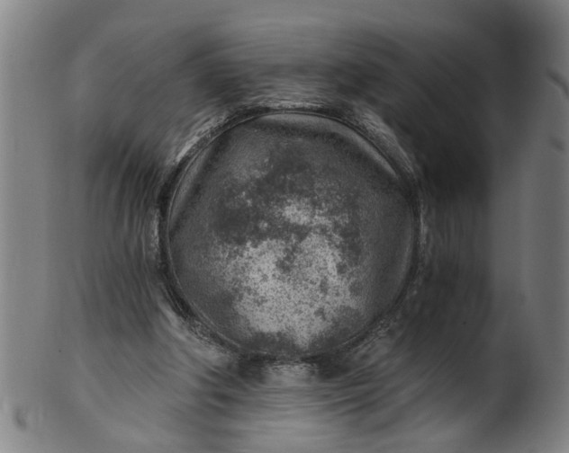 X0000101650202200807241403