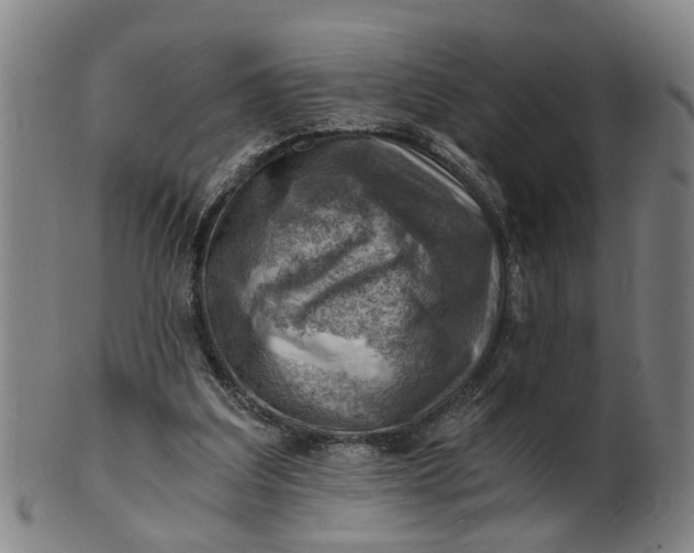 X0000101650203200807241403