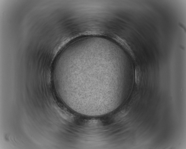 X0000101650204200807241402