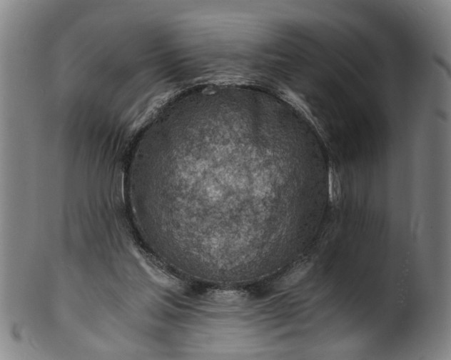 X0000101650205200807241402