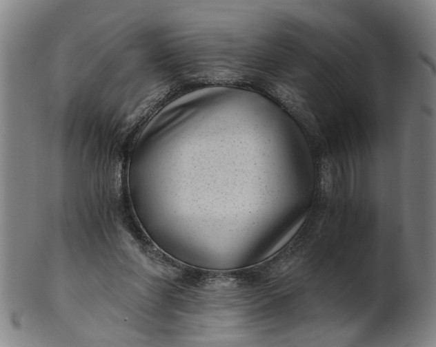 X0000101650206200807241402