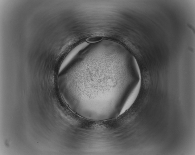X0000101650207200807241402