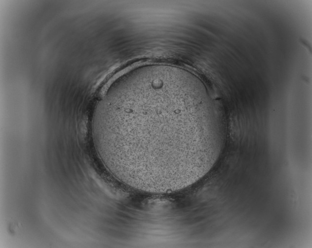 X0000101650208200807241402