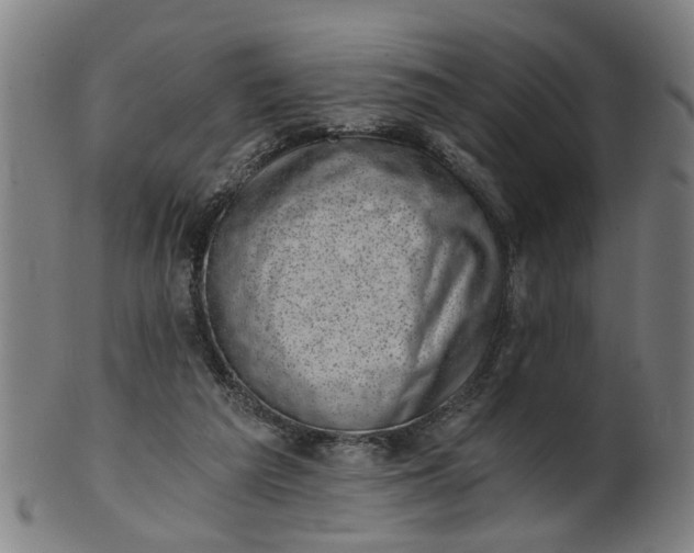 X0000101650209200807241402