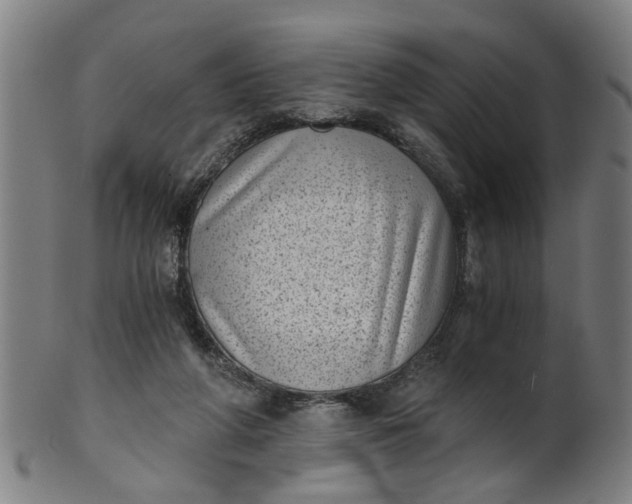 X0000101650210200807241402