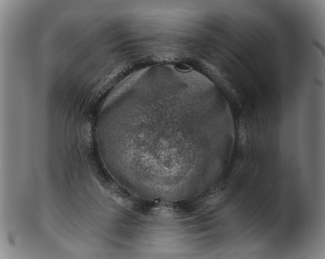 X0000101650211200807241402