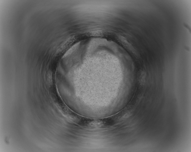 X0000101650213200807241402