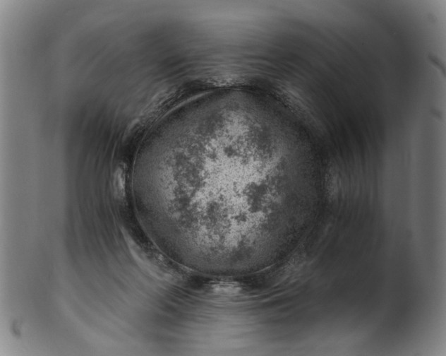 X0000101650214200807241402