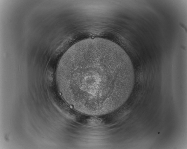 X0000101650215200807241402