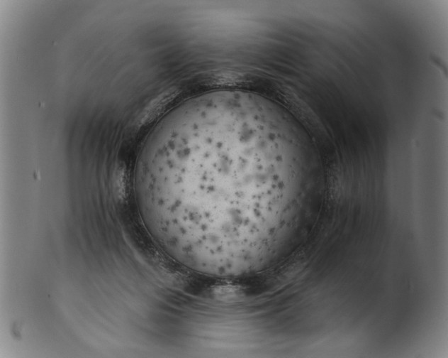 X0000101650216200807241402