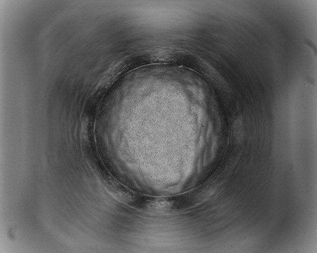X0000101650217200807241402