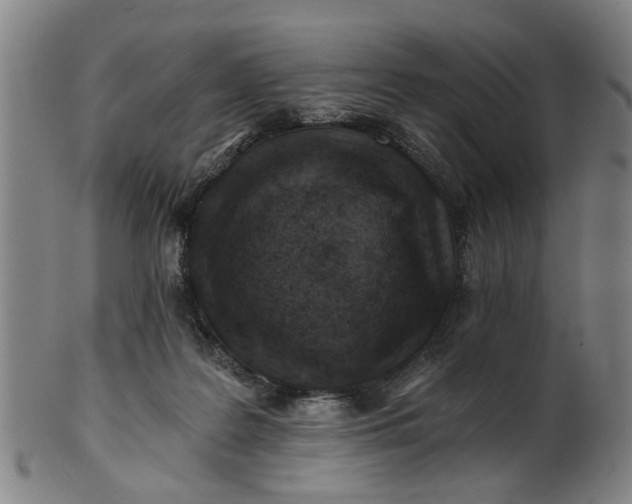 X0000101650219200807241402