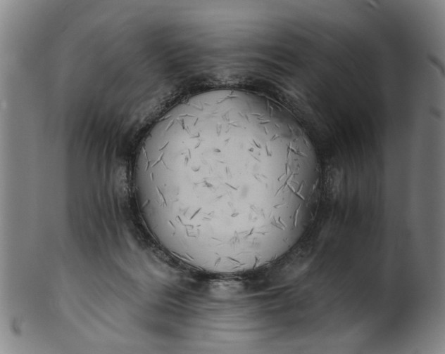 X0000101650220200807241402